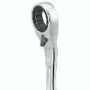 Cricchetto Zoom.webp