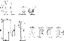 DRW_CAT_4921-Set1_SALL_AIN_V3.webp