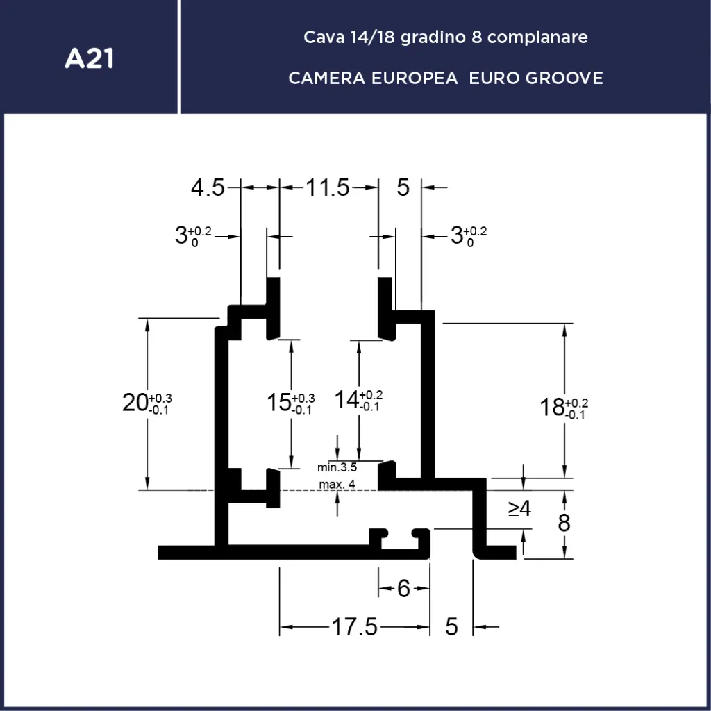 A21.webp