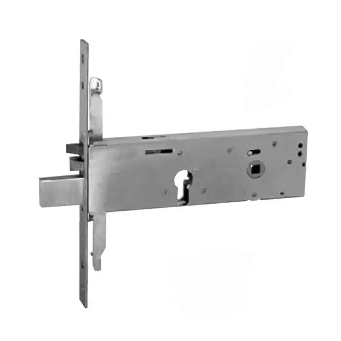 Iseo 963920902 Elettroserratura Serratura Elettrica per Fascia Cilindro a Profilo Europeo Chiusura Triplice E90mm Frontale 22mm Acciaio Inox