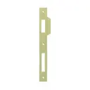AGB B005900503 Incontro per Serratura Patent Grande Dimensione 194x22mm Bordo Quadro con Aletta da 10mm Acciaio Finitura Ottonato Verniciato