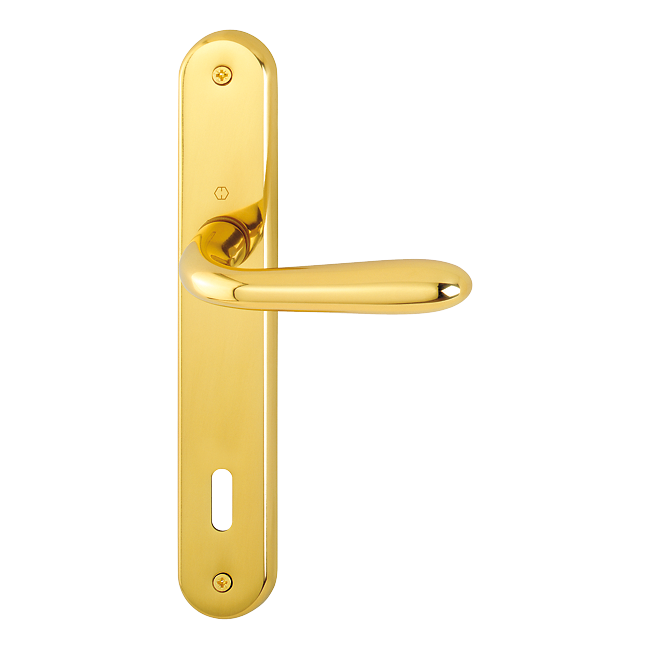 Hoppe 1751033 Grt. con placca Santia M1740/332P F71 ottone lucido 