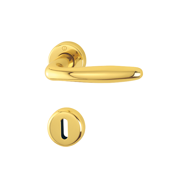 Hoppe 2039101 Grt. con rosetta Roissy M1941/88K/88KS F71 ottone lucido 