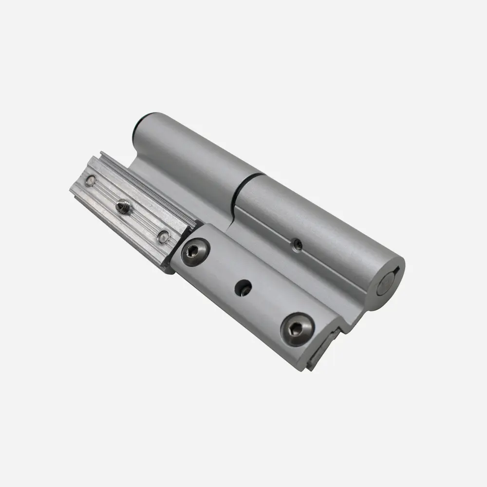Master 8060OXARG Slim Rapid Cerniera per Porte Registrabile con Piastrina ad Infilare 2 Ali Argento Anodizzato