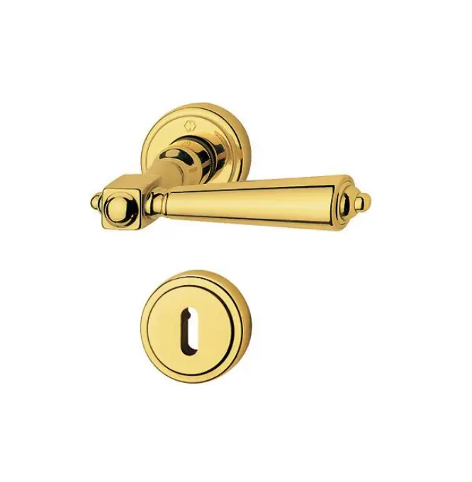 Hoppe 3055234 Grt. con rosetta Singap M172/15K/15KS F77-R aspetto ottone lucido - Resista® 