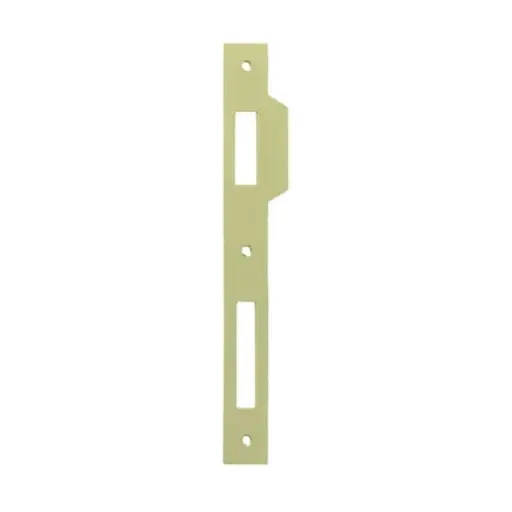 [001920] AGB B005900503 Incontro per Serratura Patent Grande Dimensione 194x22mm Bordo Quadro con Aletta da 10mm Acciaio Finitura Ottonato Verniciato
