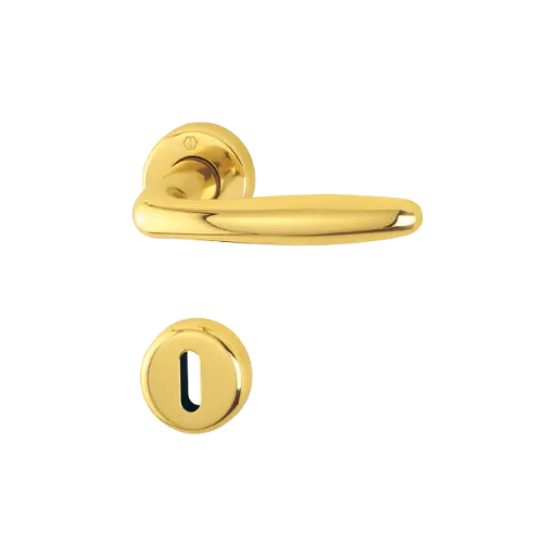 [036951] Hoppe 2039101 Grt. con rosetta Roissy M1941/88K/88KS F71 ottone lucido 
