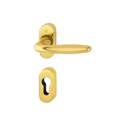 [036952] Hoppe 3546199 Grt. con rosetta Roissy M1941/23P/23PS F71 ottone lucido 