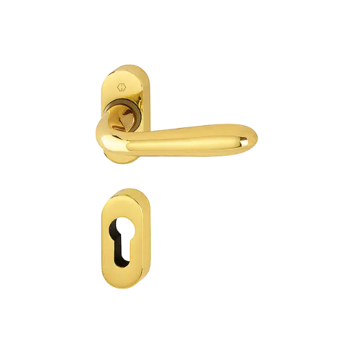 [046755] Hoppe 3546324 Grt. con rosetta Santia M1740/23P/23PS F71 ottone lucido 