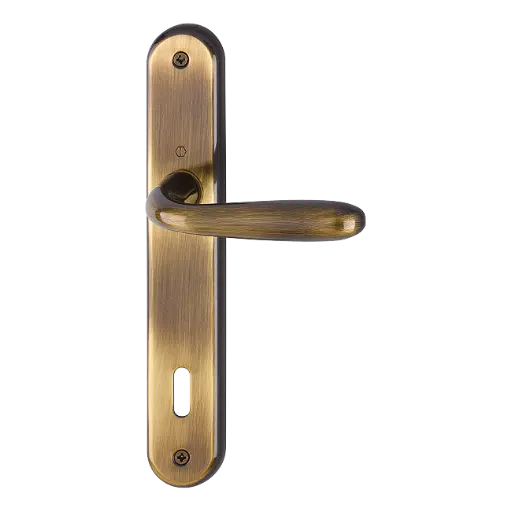 [055541] Hoppe 1997720 Grt. con placca Santia M1740/332P F73 ottone bronzato 