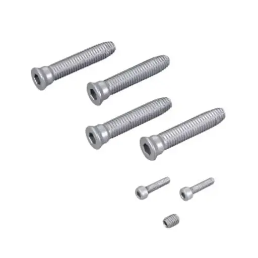 [063139] Savio 1145.745 Kit Fixia per Fissaggio Cerniera 2 Ali Mechanica Lunghezza Vite 63mm